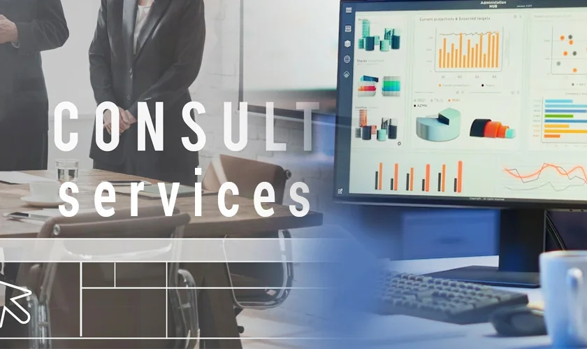 Exploring Power BI: Consulting Services and Dashboard Examples