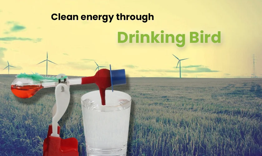  Clean energy through "drinking bird" 