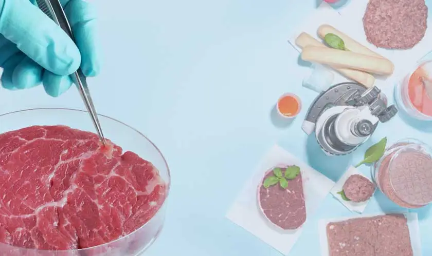  lab-grown meat cost 