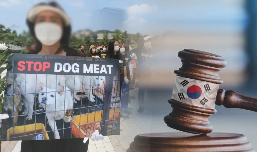  Dog meat ban S. Korea lawmakers 