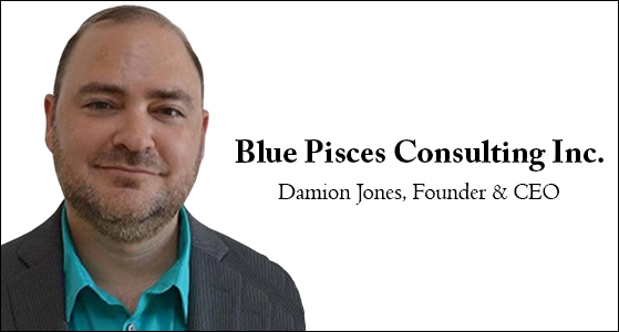   Blue Pisces Consulting Inc., infrastructure Project Management  