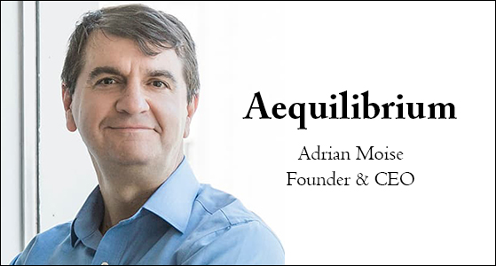 Aequilibrium- Empowering Businesses with Digital Transformation Solutions 