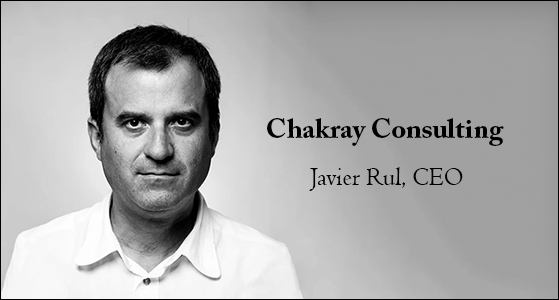   Chakray Consulting, CEO  