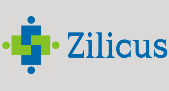 Zilicus is the global leader in enterprise project portfolio management software